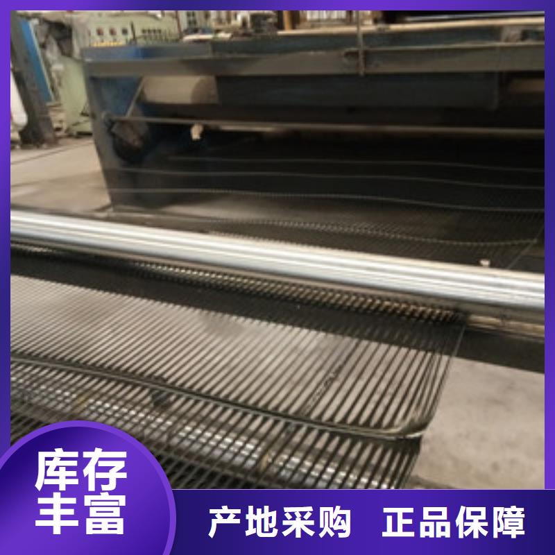 钢塑土工格栅复合土工膜把实惠留给您常年供应