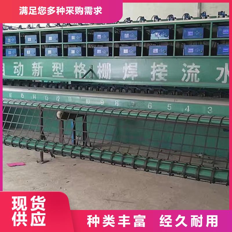 钢塑土工格栅复合土工膜商家直供同城生产厂家