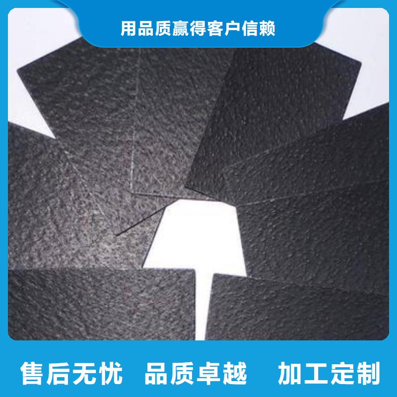 土工膜玻纤土工格栅款式新颖厂诚信经营