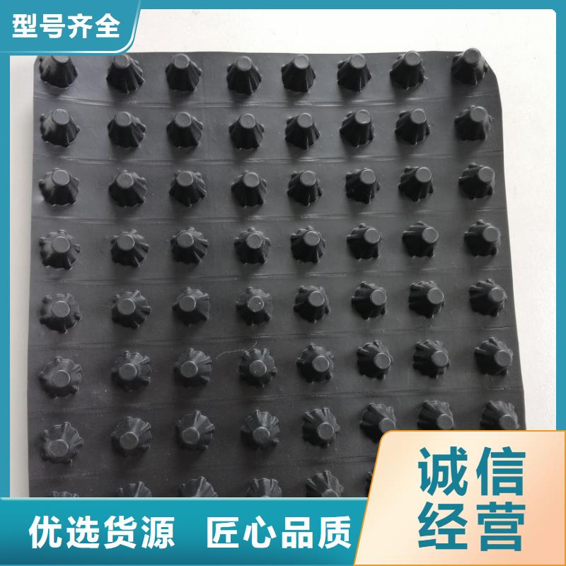 蓄排水板【膨润土防水毯】价格低让客户买的放心