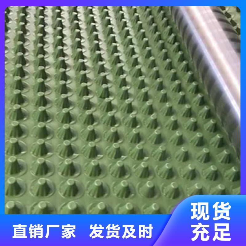 蓄排水板三维土工网垫高性价比精品选购