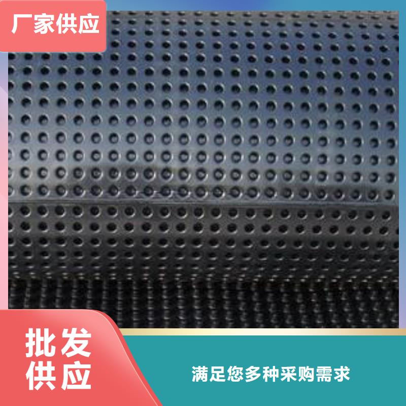 蓄排水板-土工格室厂家型号齐全加工定制