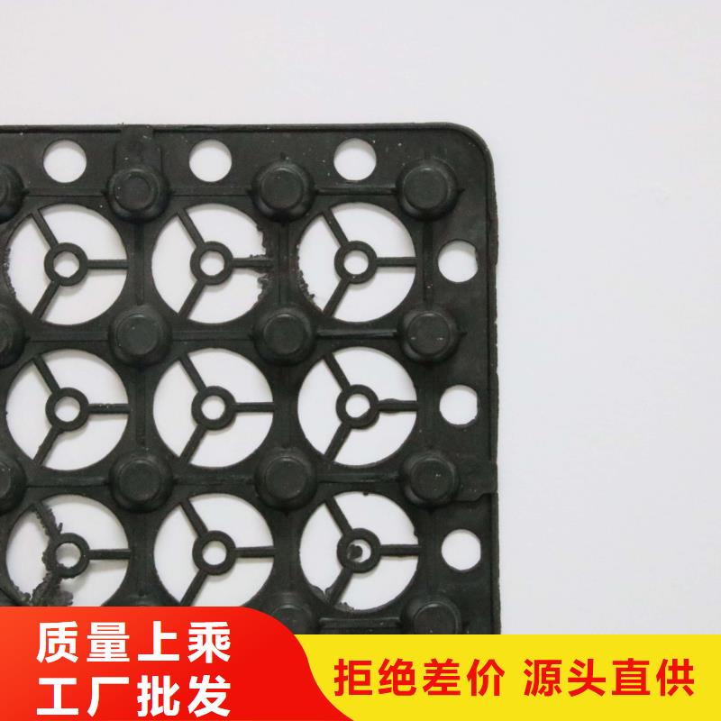 蓄排水板双向拉伸土工格栅好产品放心购当日价格