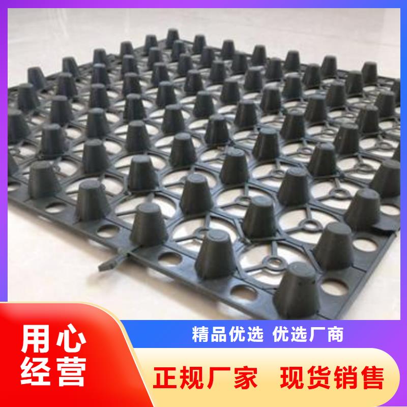 蓄排水板凸结点钢塑土工格栅追求品质同城经销商