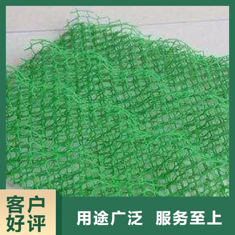 三维植被网水土保护毯购买的是放心本地经销商