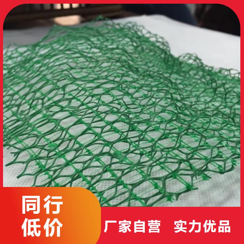 三维植被网_【复合土工膜】使用方法定制速度快工期短