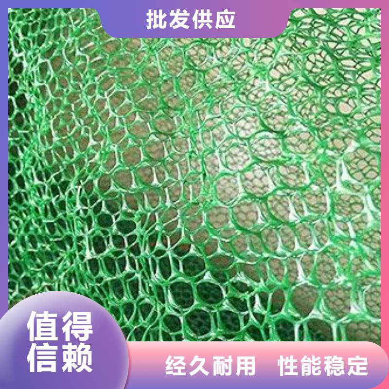三维植被网_PP焊接土工格栅库存齐全厂家直供自有厂家