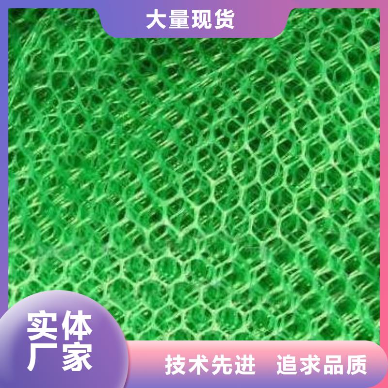 三维植被网,钢塑土工格栅无中间商厂家直销当地制造商