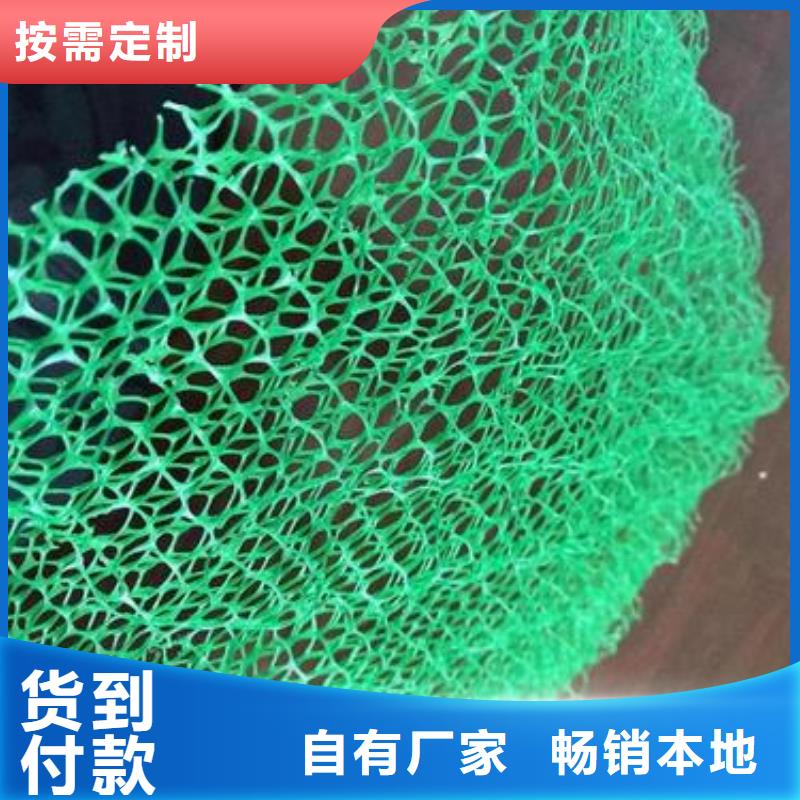 三维植被网土工格室源头厂家供应附近供应商