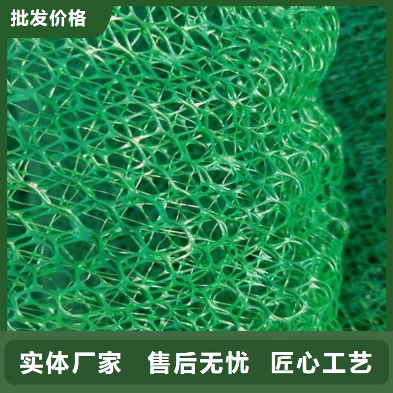 三维植被网-双向塑料土工格栅为品质而生产产地源头好货