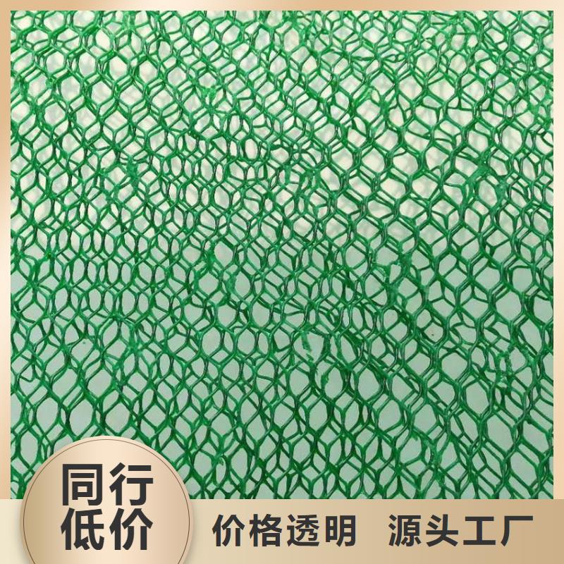 三维植被网三维土工网垫量大从优精挑细选好货