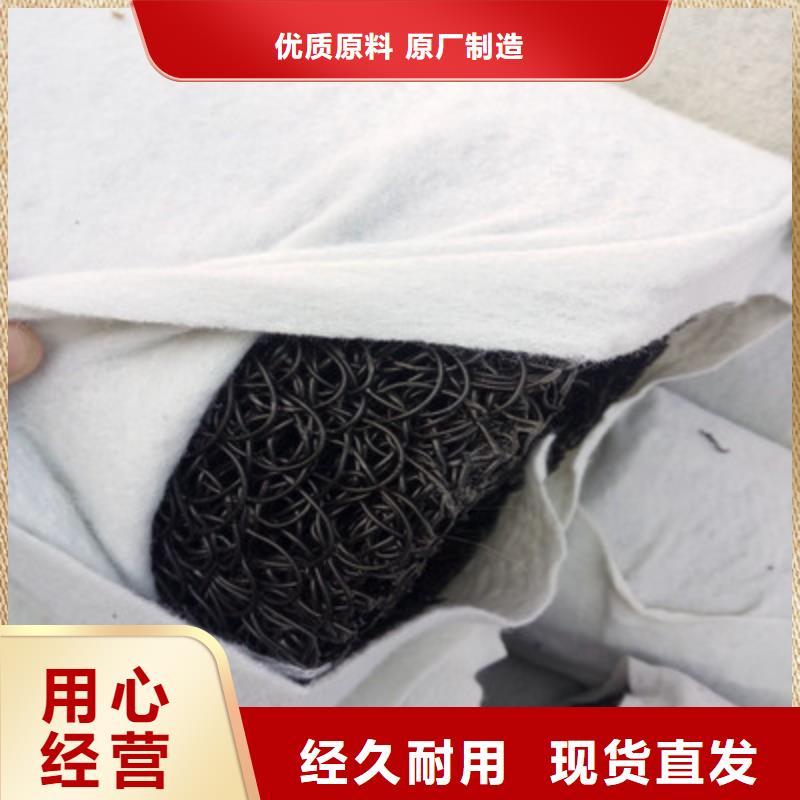 塑料盲沟-【水土保护毯】市场行情种类丰富