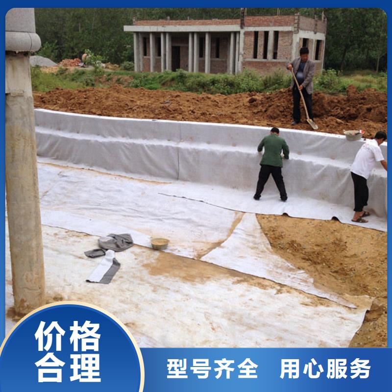 膨润土防水毯双向拉伸土工格栅资质认证支持大小批量采购