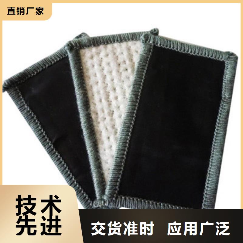膨润土防水毯单向拉伸塑料格栅厂家直销值得选择本地公司