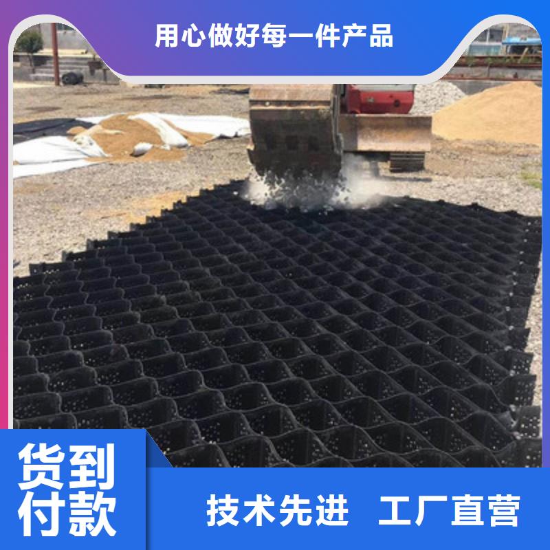 土工格室三维土工网垫多年行业积累当地服务商