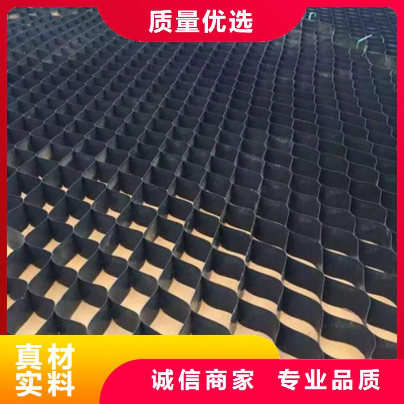 土工格室玻纤土工格栅质量优价格低本地供应商