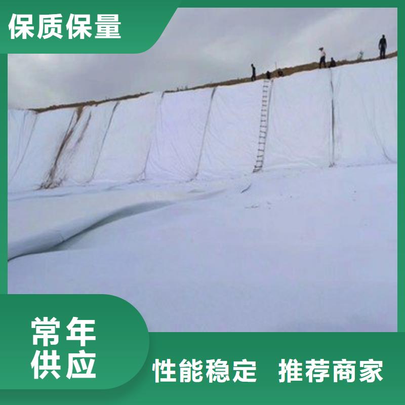 【土工布】单向塑料土工格栅现货充足量大优惠本地生产商