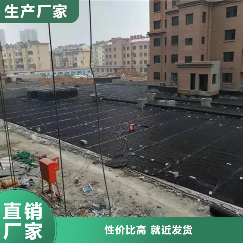 塑料排水板双向塑料土工格栅海量库存市场报价