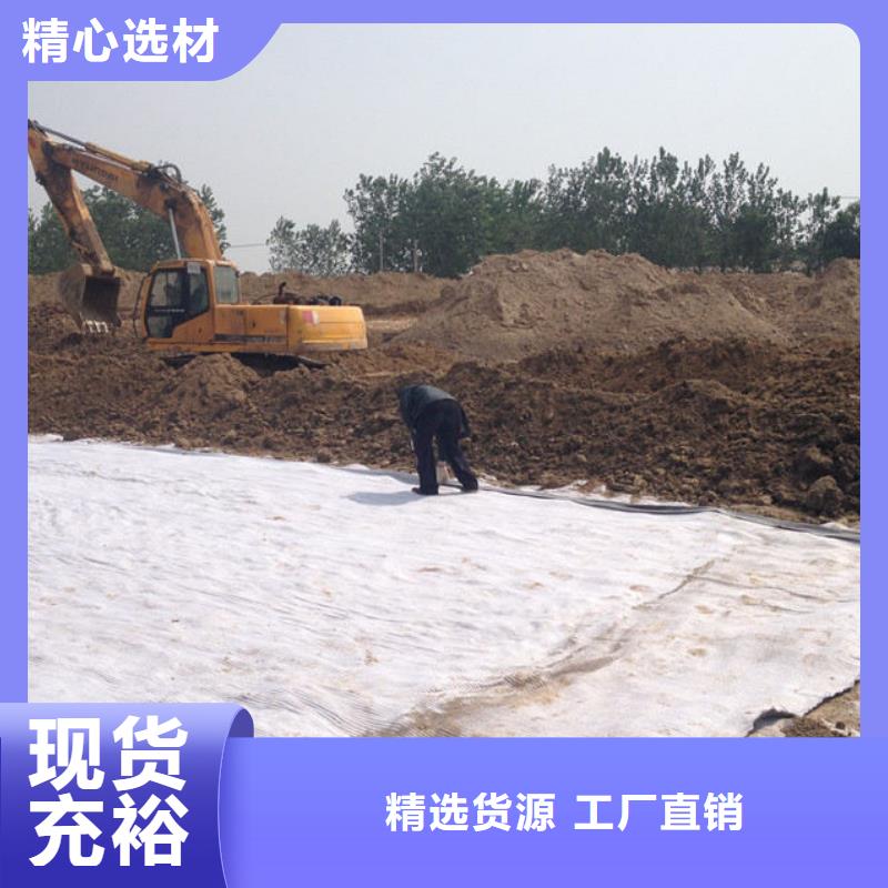 防水毯玻璃纤维土工格栅工程施工案例同城货源