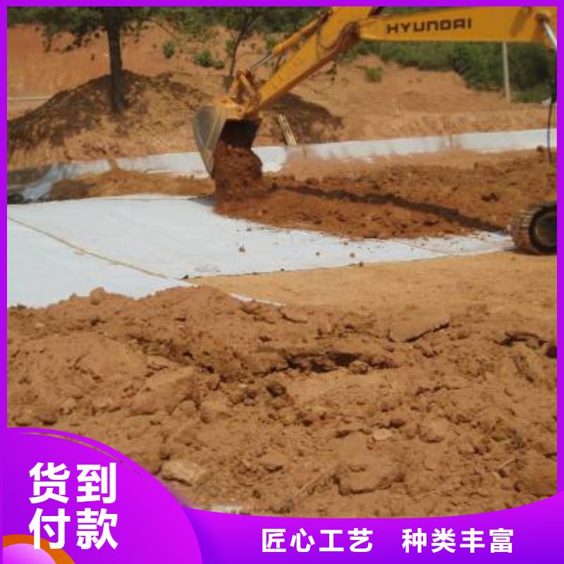 防水毯单向塑料土工格栅用品质说话当地服务商
