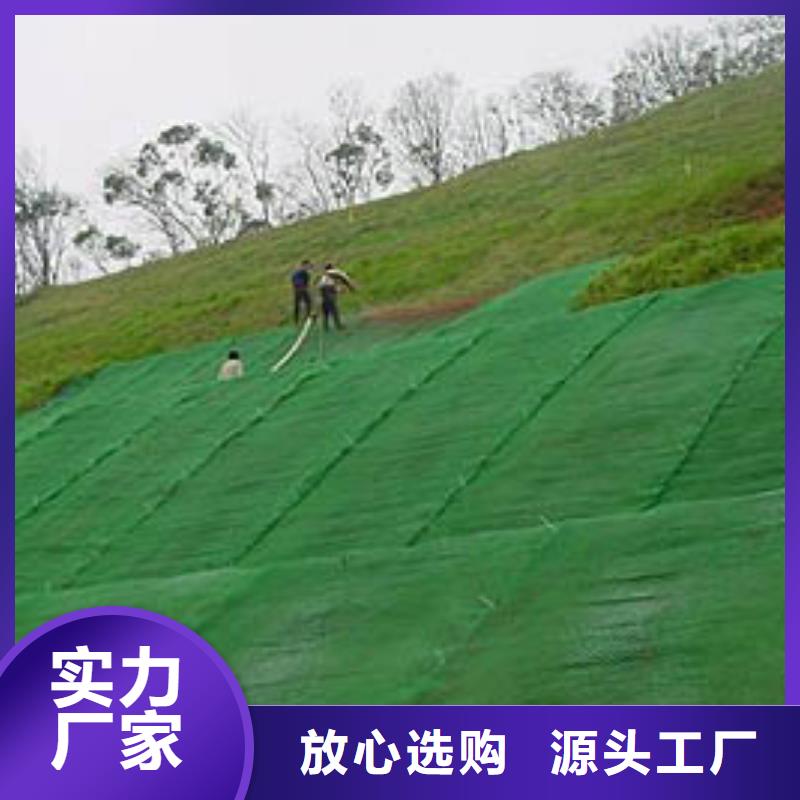 【三维植被网-多向塑料土工格栅把实惠留给您】通过国家检测