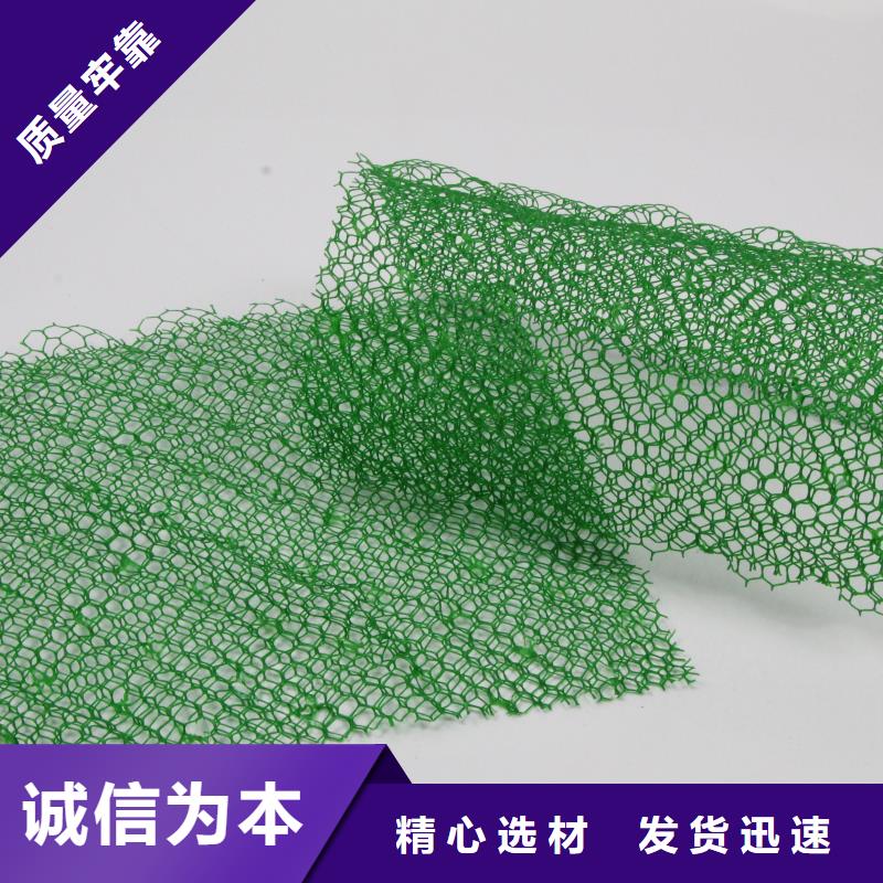 三维植被网【膨润土防水毯】信誉至上用心服务
