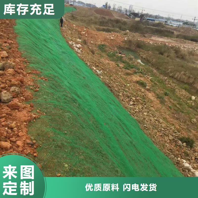 【三维植被网】,钢塑土工格栅厂家工厂采购详细参数