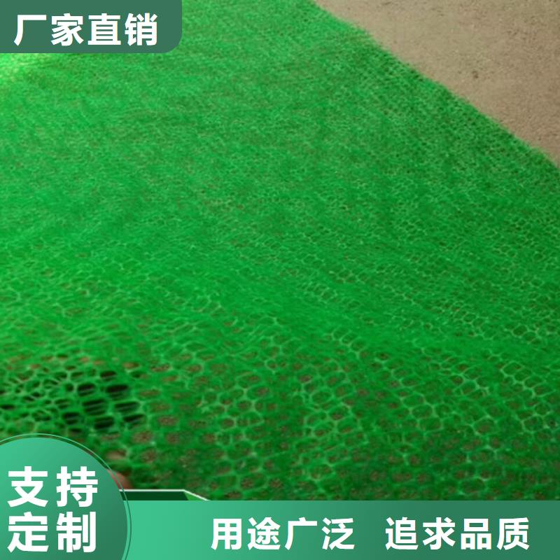 三维植被网【HDPE土工膜】产品参数厂家直销直供