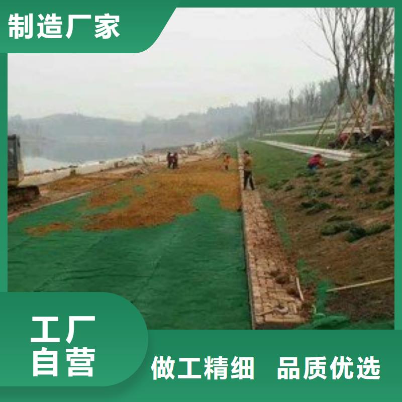 三维植被网,土工布量大从优制造生产销售