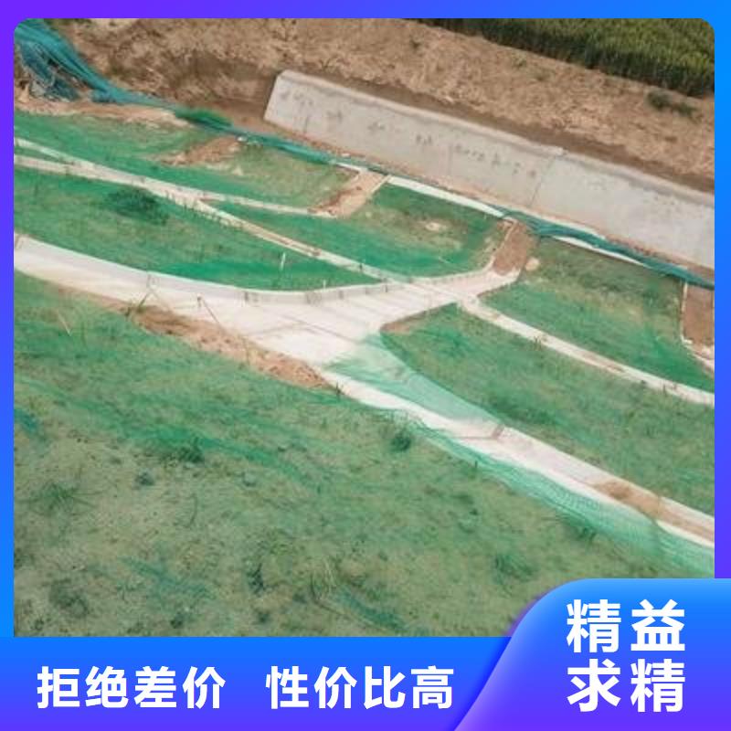 三维植被网,【玻纤土工格栅】优质工艺优质原料