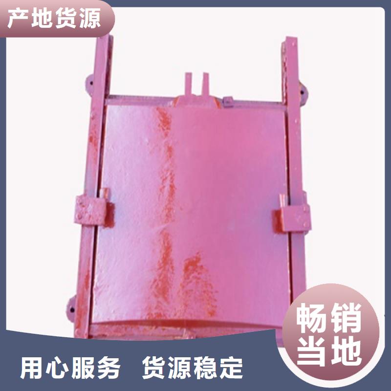 机闸一体式铸铁闸门免费指导安装当地供应商