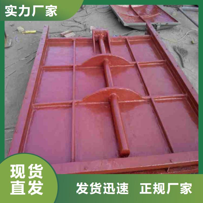 河道铸铁闸门免费指导安装直销厂家