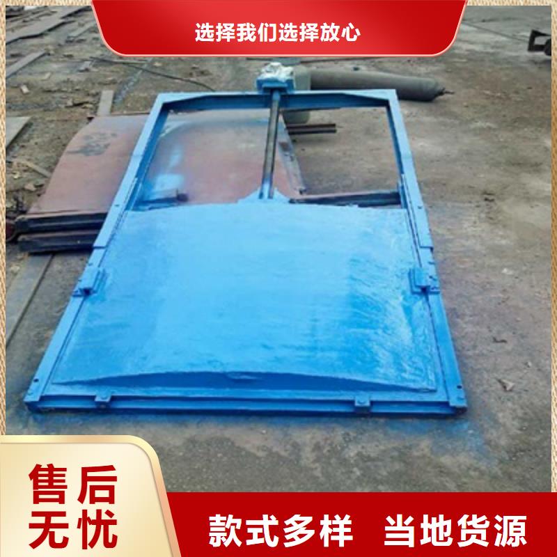 附壁式铸铁闸门生产厂家本地品牌