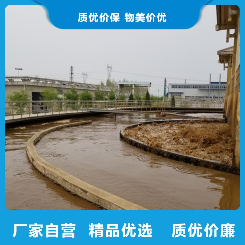 【聚丙烯酰胺】,碳源厂家多种工艺当地公司