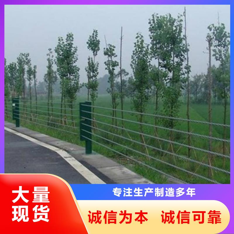 钢丝绳护栏道路护栏精品选购附近制造商