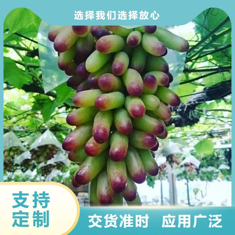 【葡萄桃树苗自有生产工厂】附近公司