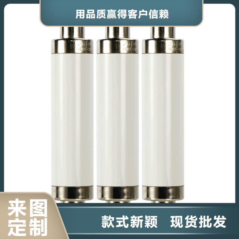 XRNP-7.2KV/1A限流熔断器实拍品质保障