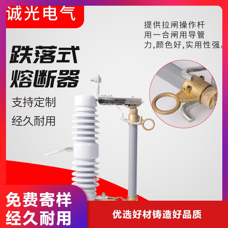 熔断器氧化锌避雷器源头厂家供应闪电发货