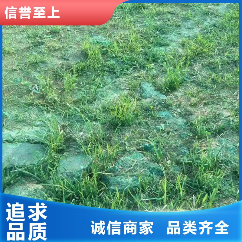 铁路抑尘剂来电咨询用途广泛