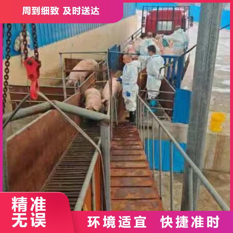 宿迁到黄山二育运输不倒车
