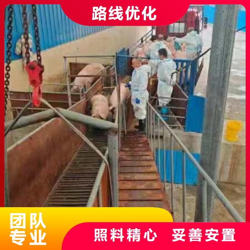 宿迁市到德州畜禽物流服务有保障
