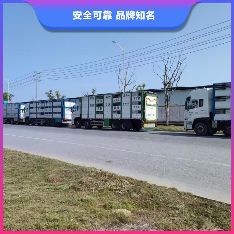 宿迁市沭阳到开封畜禽物流车型丰富