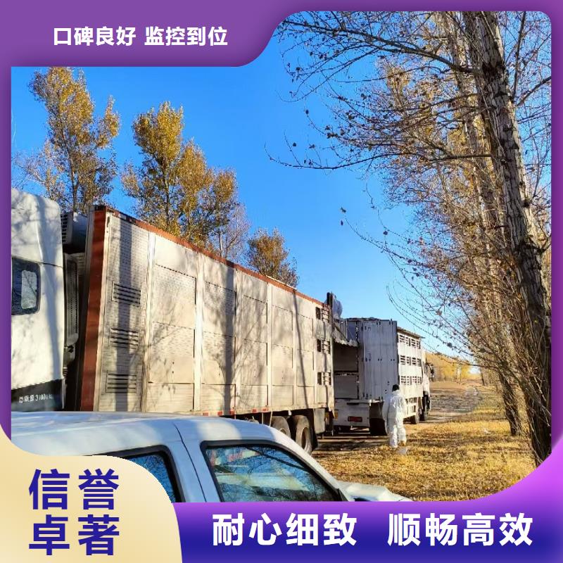 宿迁市到扬州种猪运输车型丰富
