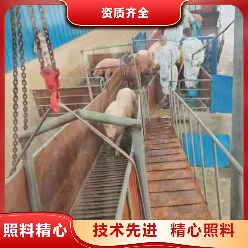 宿迁市泗洪到泰安原料运输正规物流