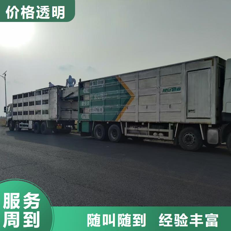 淮安到宿迁高栏车肥猪运输-空调车实力雄厚