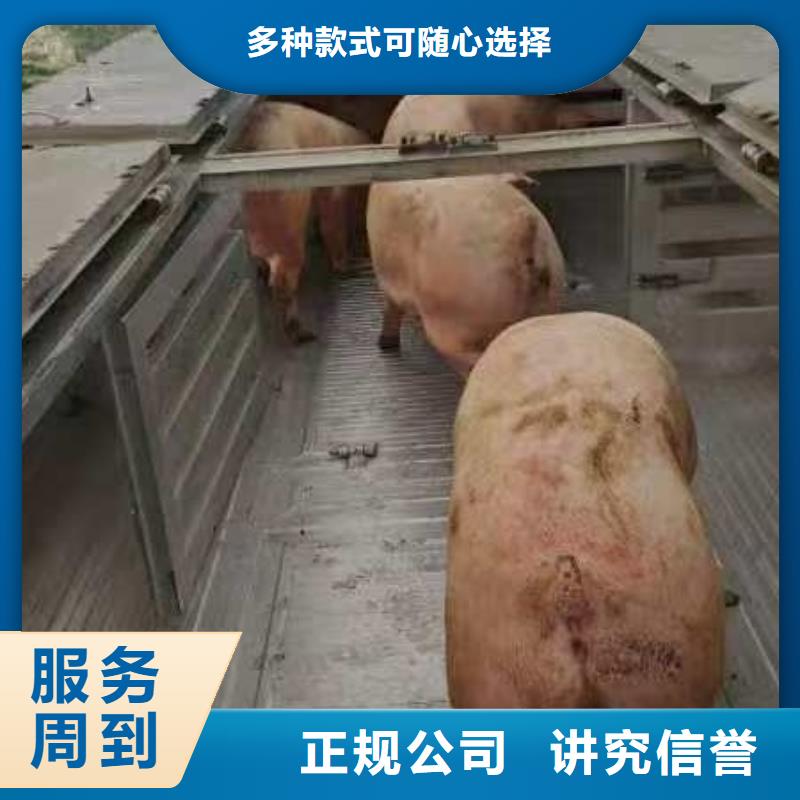 苏州到宿迁二育运输-恒温车诚信放心