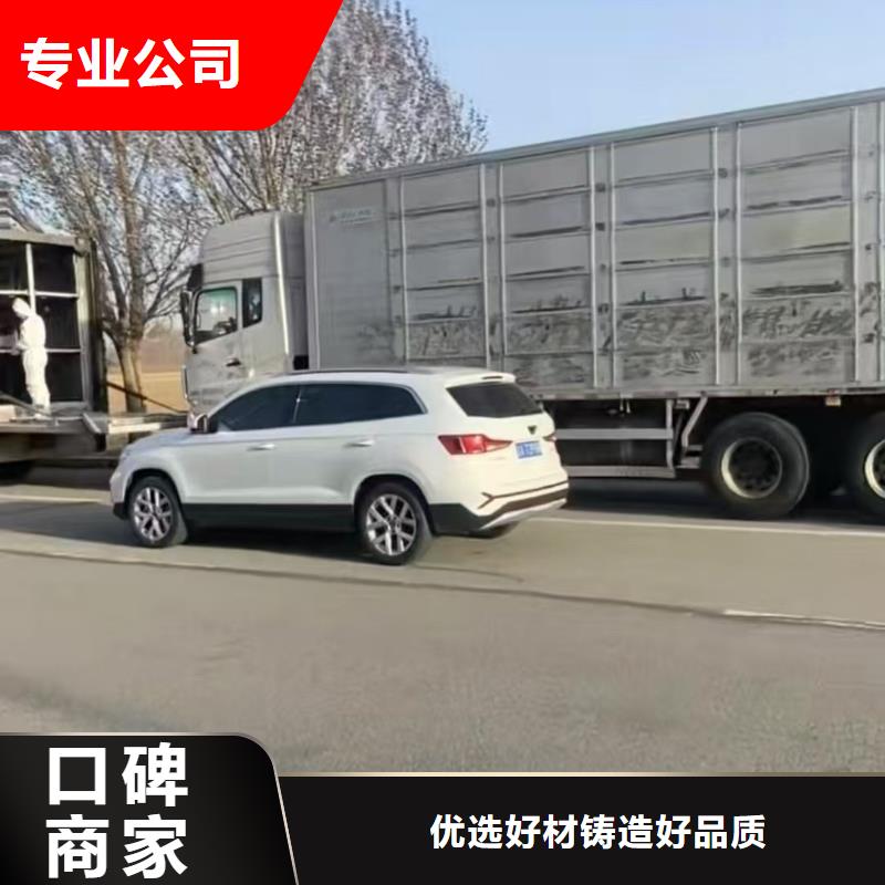 吉安种猪运输正规实力雄厚空调车运输