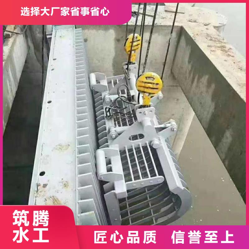 耙斗式清污机专业生产制造厂质量好