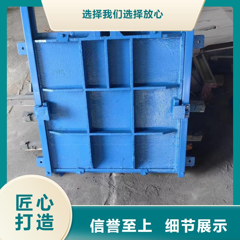 机门一体闸门型号齐全同城生产厂家