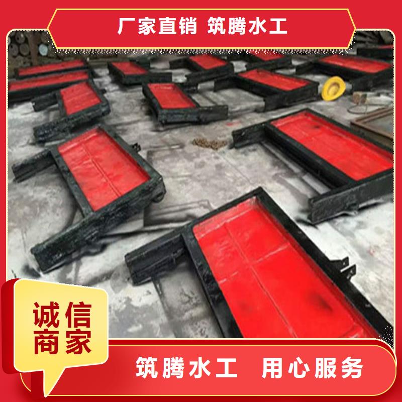 机门一体闸门源头厂家厂家直销售后完善